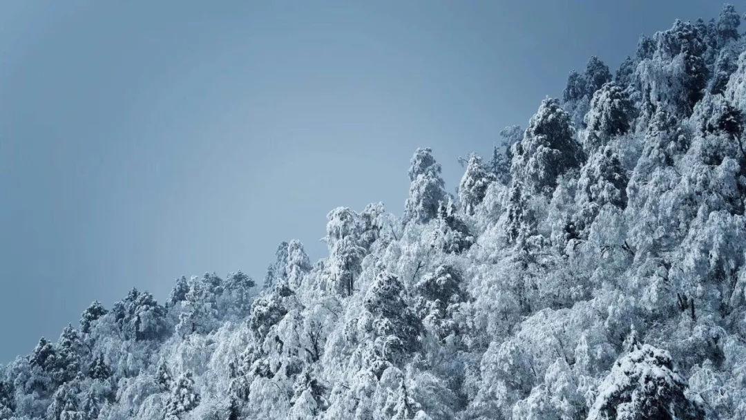如何正确面对月经来潮?-权威问答网站